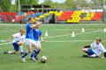 football16.gif