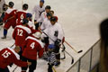 hock120.jpg