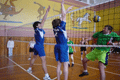voleibol.gif